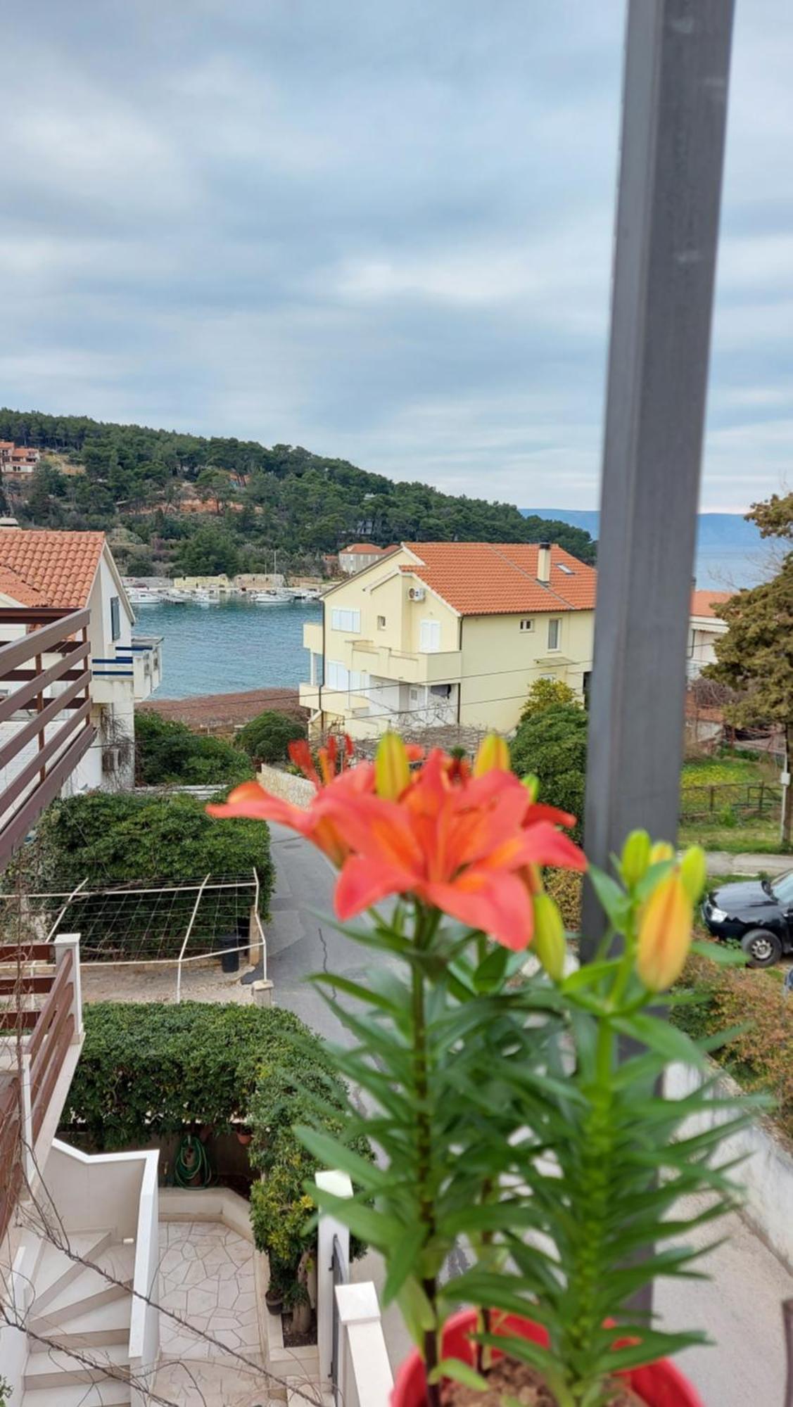 Apartment Stambuk *